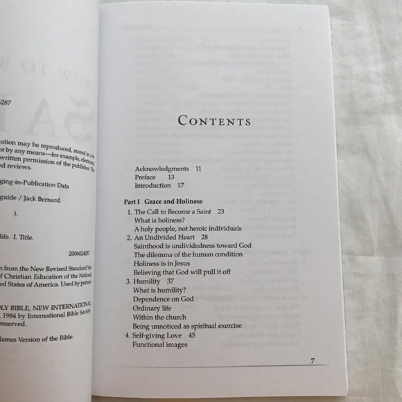 ๐3/$35 How To Become A Saint A Beginner's Guide Christian Book Paperback - Picture 5 of 7
